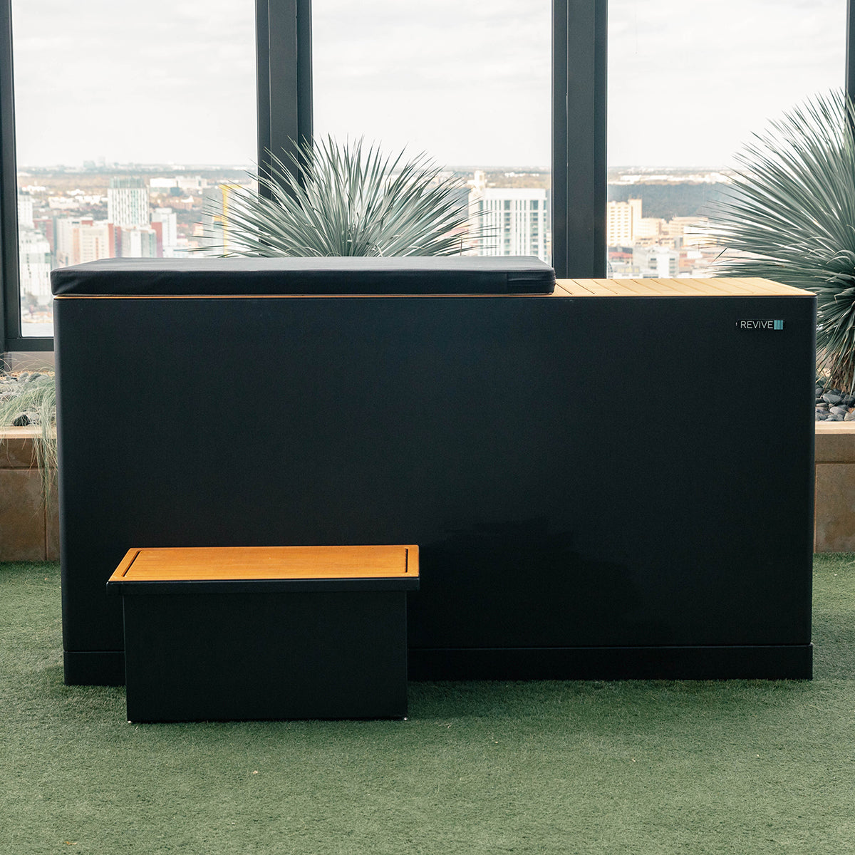 Revive Luxury Cold Plunge