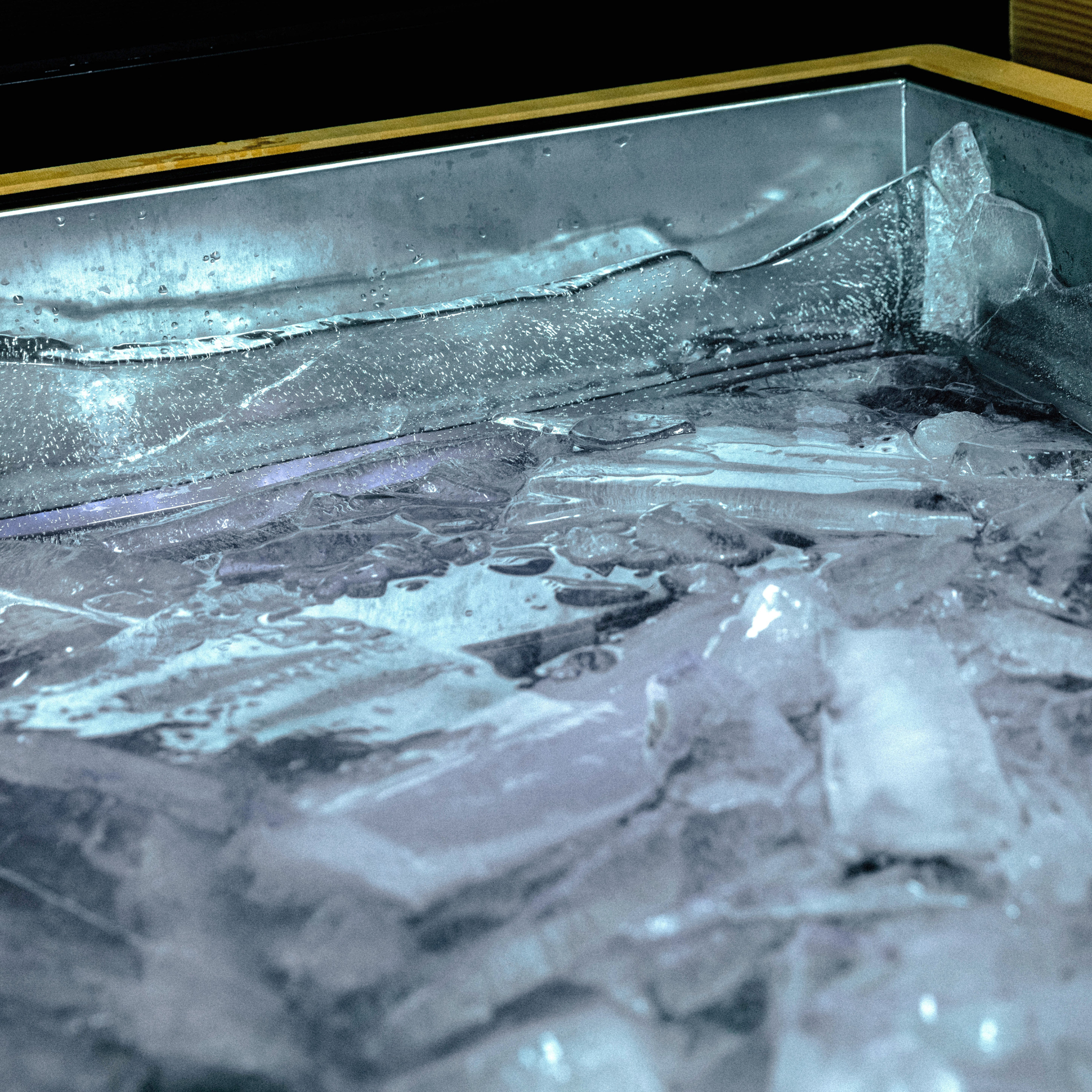 Revive Luxury Cold Plunge