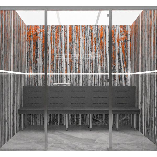 Scandia Advanced Hybrid Steam Room