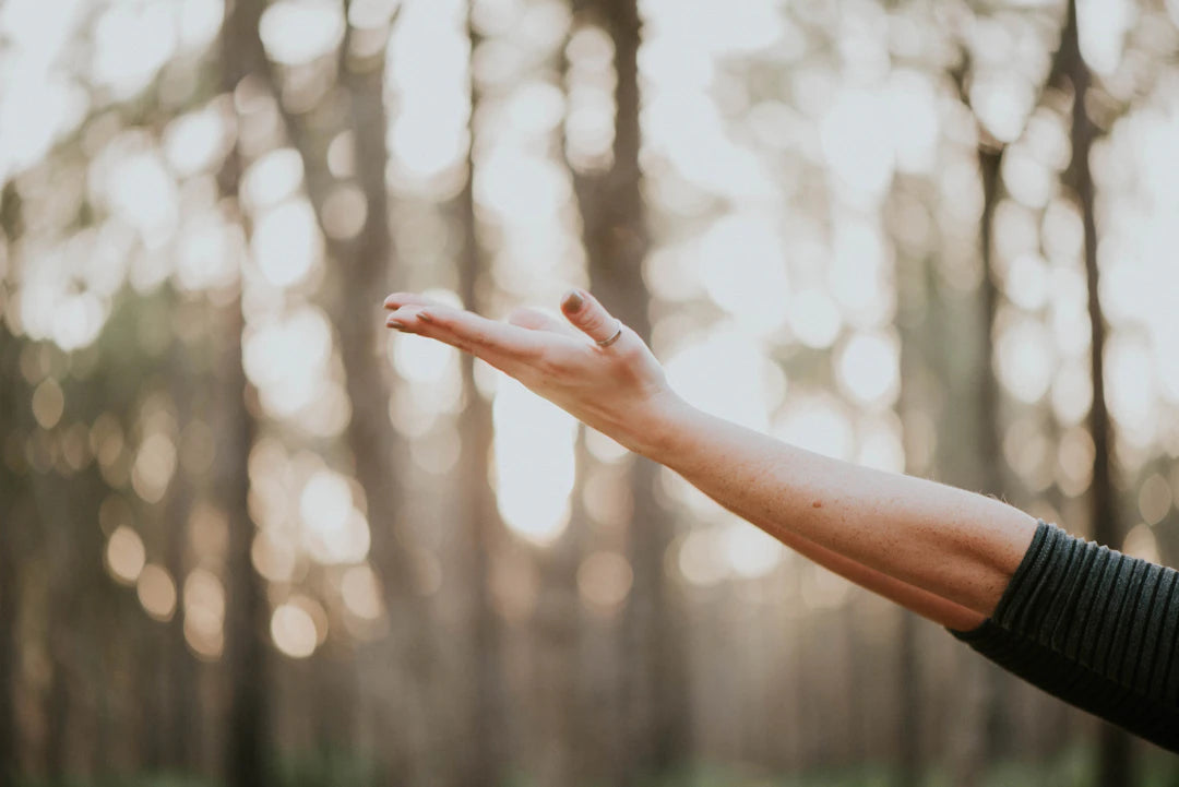 Revitalize Your Workout Red Light Therapy for Muscle Recovery